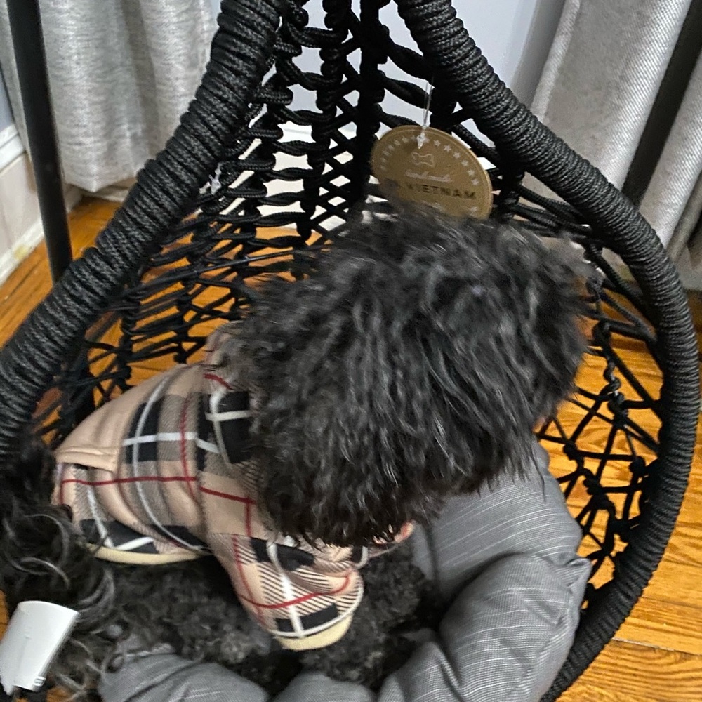 Meet your Posher, Jacqueline